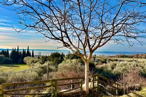 VILLA SINGOLA A BARDOLINO