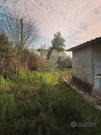 Meravigliosa proprietà a La Botte di Guidonia