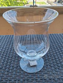 Vaso di vetro per piante e fiori