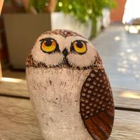 Gufo su pietra dipinta a mano