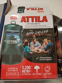 Attila cattura insetti