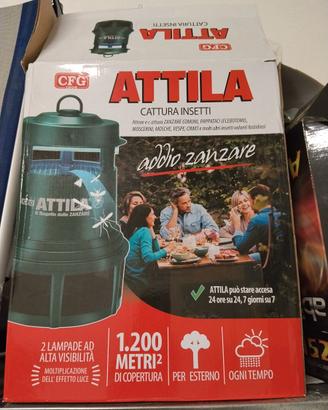 Attila cattura insetti