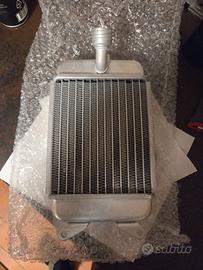 Radiatore beta evo