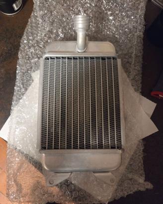 Radiatore beta evo