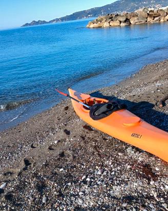 Kayac Artic1
