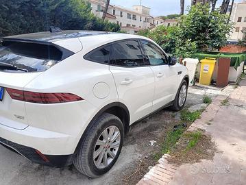 Jaguar e pace