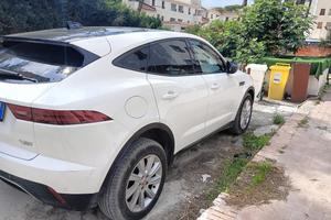 Jaguar e pace