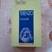 Terenzio/ I fratelli, Il punitore di se stesso