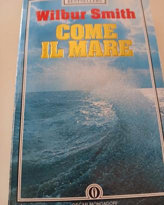 W.Smith come il mare