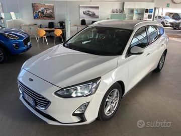 FORD Focus 1.5 EcoBlue 120 CV aut. SW Business C