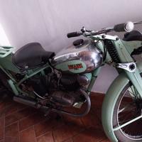moto - intera collezione