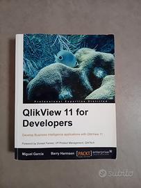 QlikView 11 for developers