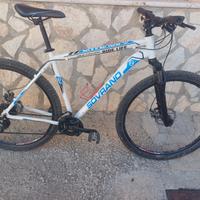 mtb sovrano in alluminio misura 29 L