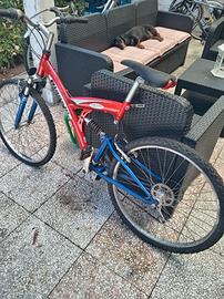 bicicletta