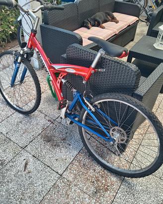 bicicletta