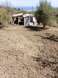 Appezzamento di terreno