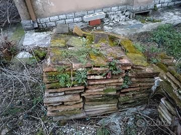 tavelle e piastrelle cotto