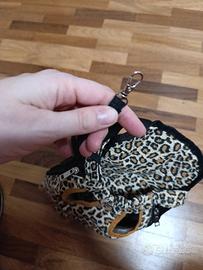 pettorina cane piccola taglia 