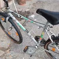 Mtb Cicli Cnzia 