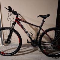 mtb 29 bottecchia 
