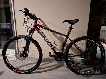 mtb 29 bottecchia 