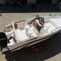 Barca elan 18 con suzuki 115 e carrello ellebi