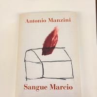 Sangue marcio – Antonio Manzini