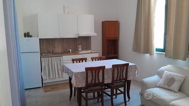 Trilocale tutto compreso