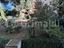 Immagine 15
