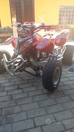quad polaris predator 500 
