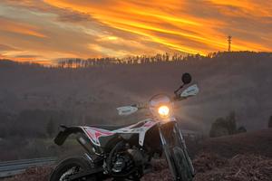 Beta rr50