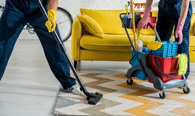 Pulizie domestiche
