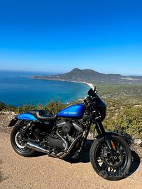 Harley Davidson Roadster 1200