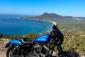 Harley Davidson Roadster 1200