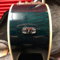 Takamine ef391 stereo