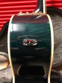 Takamine ef391 stereo