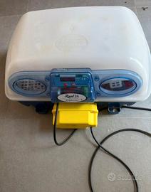 Incubatrice