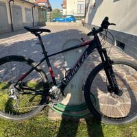 Mountain Bike Doublezz Elite 29