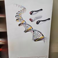 Banner Roll up monofacciale
