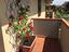 Immagine 7