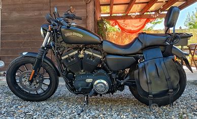 Harley-Davidson 883 Iron