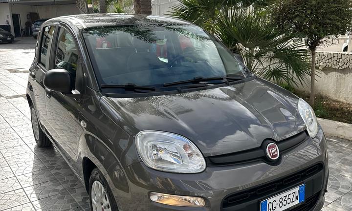 Fiat Panda Cross 1.0 FireFly S&S Hybrid