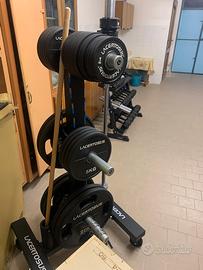 Dischi Pro fitness Lacertosus oltre 100kg + Rack