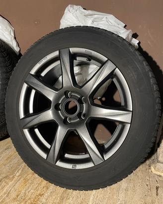 Cerchi MSW R17