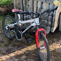 Mountainbike Conti Skate 20 pollici