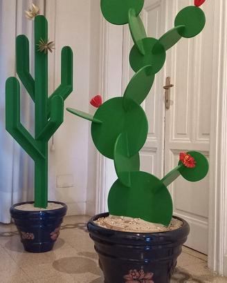 Vasi in terracotta con piante in legno