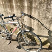 bicicletta da uomo