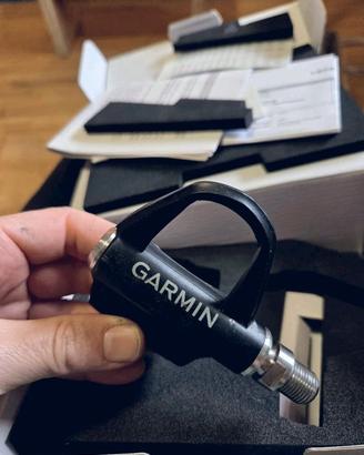 Garmin Rally RS200
