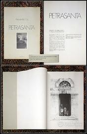 Pietrasanta - Il ritratto di una città