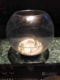 Ampolla in plastica per pesci